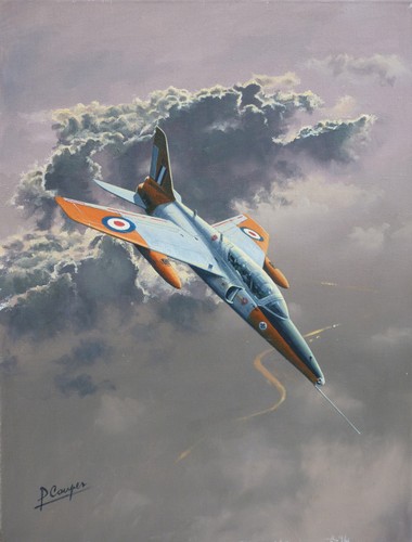 Folland gnat raf trainer - gnat,