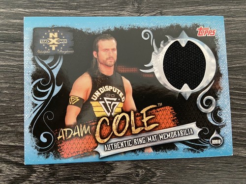 Adam cole wwe nxt takeover - nxt,