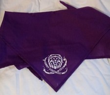 boy scout memorabilia