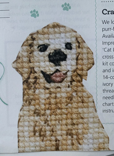 Pet the month pets - pets, dog