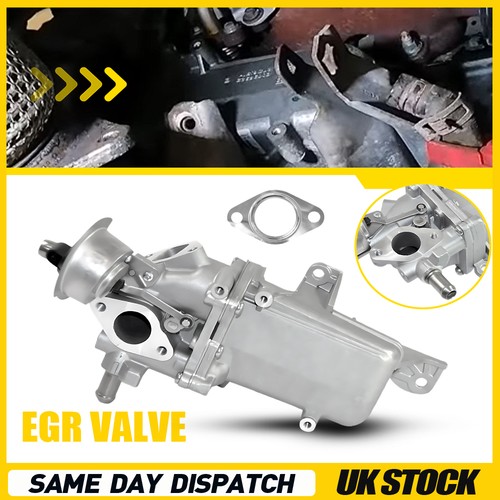 Egr valve cooler fits - valve,
