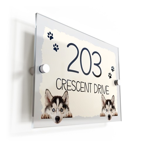 Siberian husky dog puppy cream - husky,