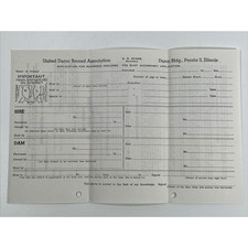 Vtg 1940’s DUROC Swine