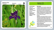 Japanese Iris #46 Cutting - My Green Gardens 1987 Cardmark Card