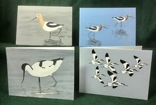 MisterBcards 12 Avocet