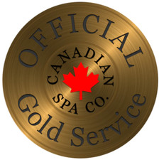Spa Gold Service Full