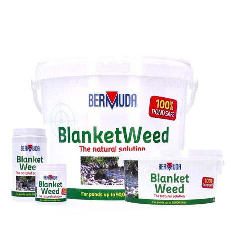 Bermuda blanketweed treatment - bermuda,