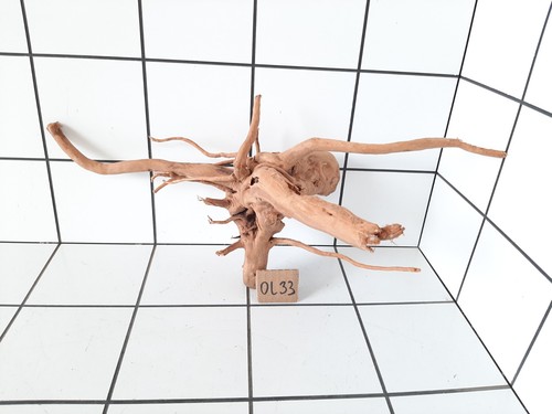 Aquarium driftowood spider - aquarium,