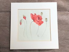 mounted watercolour of poppy's