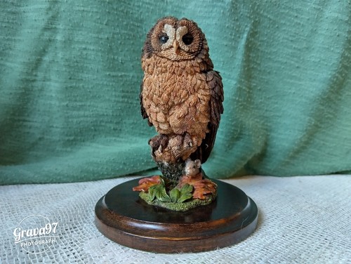 Country artists ca724 tawny - artists,