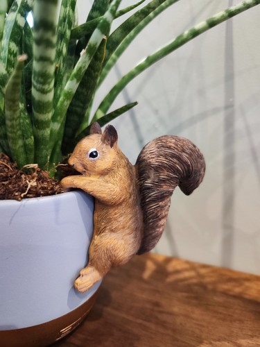 Red squirrel pot hangers buddy - red,