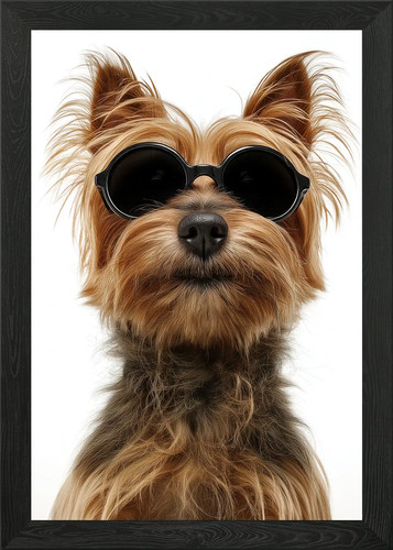 Cool silky terrier dog - silky,