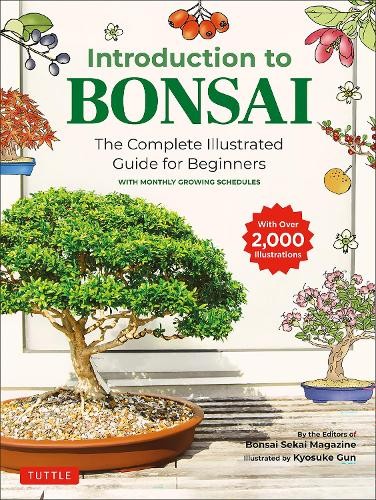 Introduction bonsai by - bonsai,