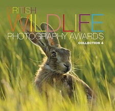 British Wildlife Photography