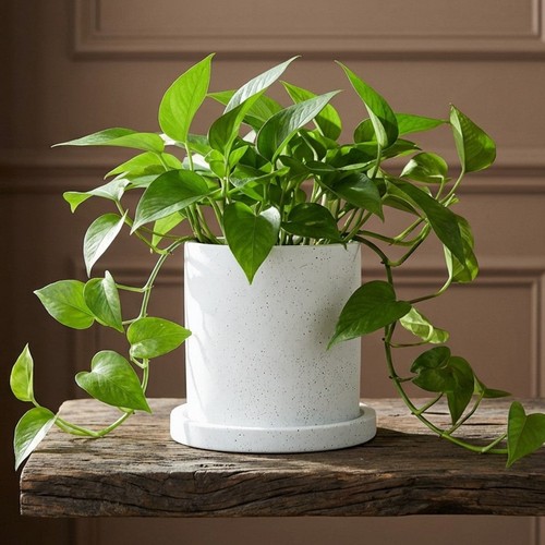 Speckled stone effect - stone-effect, ceramic