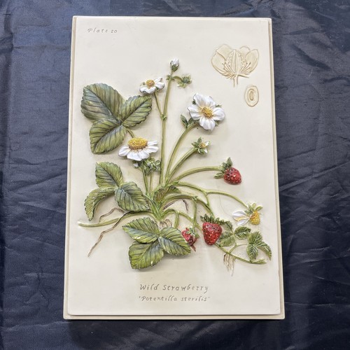 Ceramic wall plaque stunning - wall,