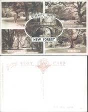 Beauty spots in the New Forest