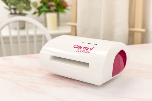 Gemini junior crafters - gemini,