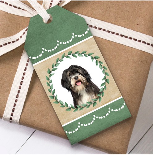 Tibetan terrier dog green - terrier,