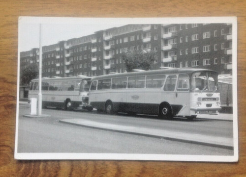 Pair coaches east - coaches, bus
