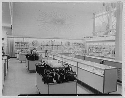 Patchogue long island bee - island,