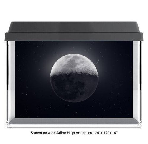 Full moon fish tank - tank, glass