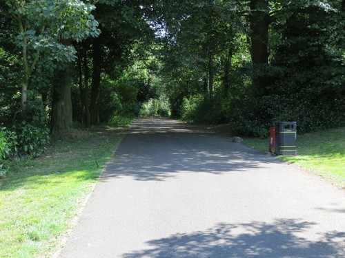 Photo 12x8 pathway marsden - 12x8,