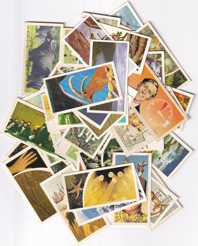 Brooke bond tea cards all - bond,