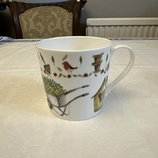 Rose of England in the Garden