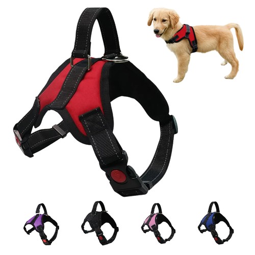 Pull dog harness - no,
