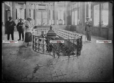 Plate Glass Photo Antique Negative Black and White 13x18 CM Vittel Tall