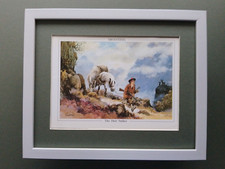 Norman Thelwell Shooting print