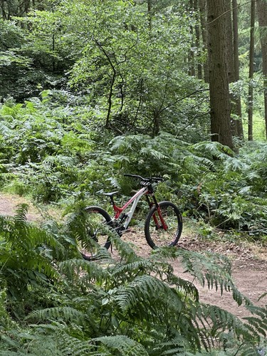 Commencal supreme 29er - commencal,