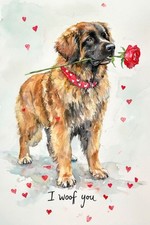 Large Luxury Leonberger