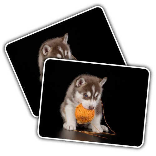 Vinyl sticker cute siberian - sticker,