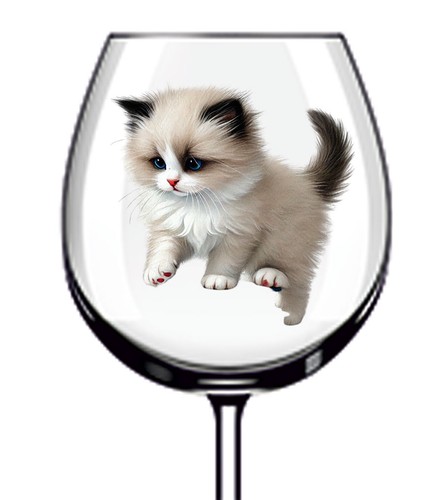 12x ragdoll cat kitten - cat, vinyl