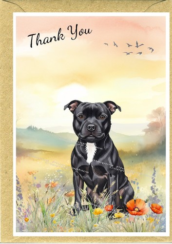 Staffordshire bull terrier dog - terrier,