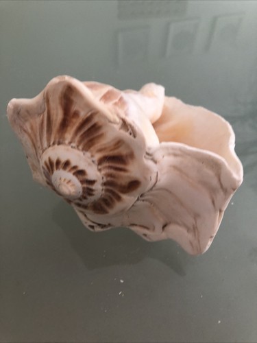 Large 17cm left - , handed