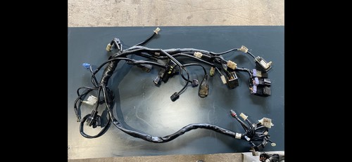 Gas ec350f 2022 - gas,