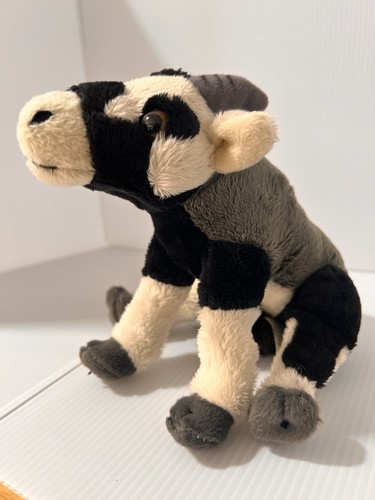 Save our space sos billy - sos, goat