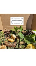 Woodland Forage Box  Rabbits Guinea Pigs Hamsters Natural Forage Box toy chew