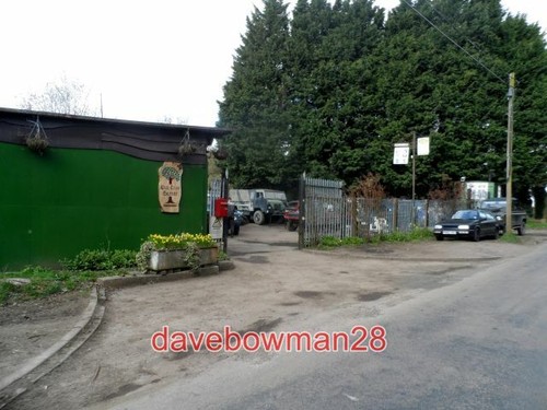 Photo oak tree - , garage