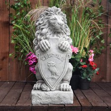 Stunning and Majestic Lion