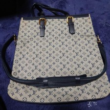 Louis Vuitton Monogram Mini