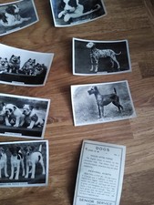 Vintage Senior Service Cigarette Cards Dog Theme