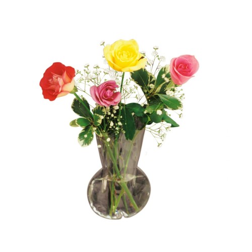 Window vase bulb style - window, holds