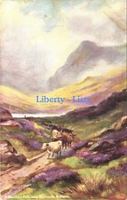 Mountain Path near Barmouth