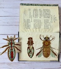 Newnes Pictorial Knowledge Volume 5 – Vintage 1930s Educational Encyclopedia