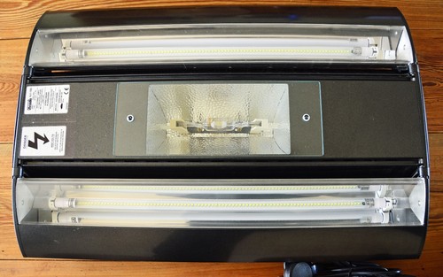 Aquarium pendant light arcadia - aquarium,