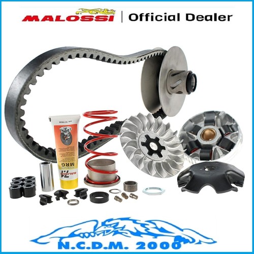 Malossi variator over - variator,
